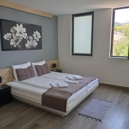 Nataly 2 4* 소코 반자