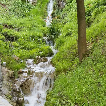 Nataly 2 4* 소코 반자