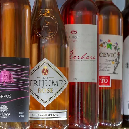 B&B Nataly 2 소코 반자