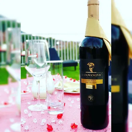 Nataly 2 B&B 소코 반자